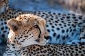 20090618_101840 D300 X1